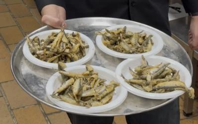 DEGUSTACIÓN DE VINOS FINO CON PESCADITO FRITO