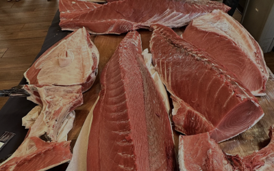 EL PRÓXIMO SÁBADO 23. RONQUEO DE UN ATÚN EN EL MERCADO DE ABASTOS DE JEREZ