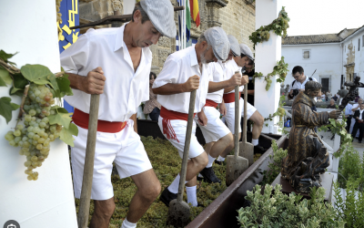 LAS FIESTAS DE LA VENDIMIA ARRANCARÁN CON LA PISA DE LA UVA EN LA CATEDRAL DE JEREZ