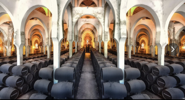 EL AYUNTAMIENTO SEGUIRÁ AYUDANDO Y PROMOCIONANDO LOS VINOS DEL MARCO DE JEREZ